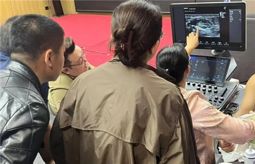 La formation nationale en échographie musculo-squelettique (Zhengzhou) se ter...
