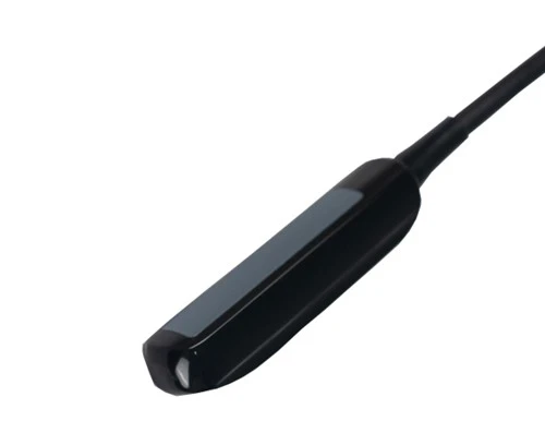 Sonde linéaire intrarectale vétérinaire